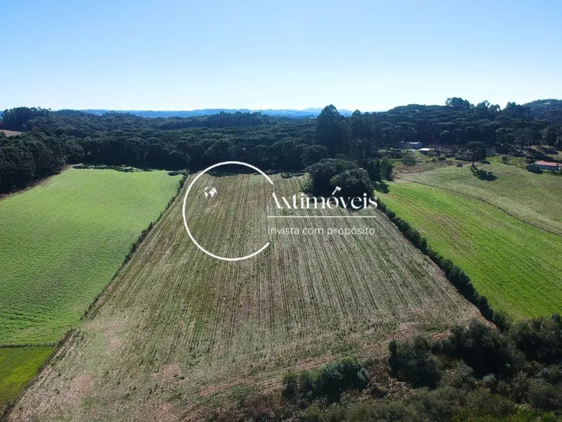 Terreno - área limpa 