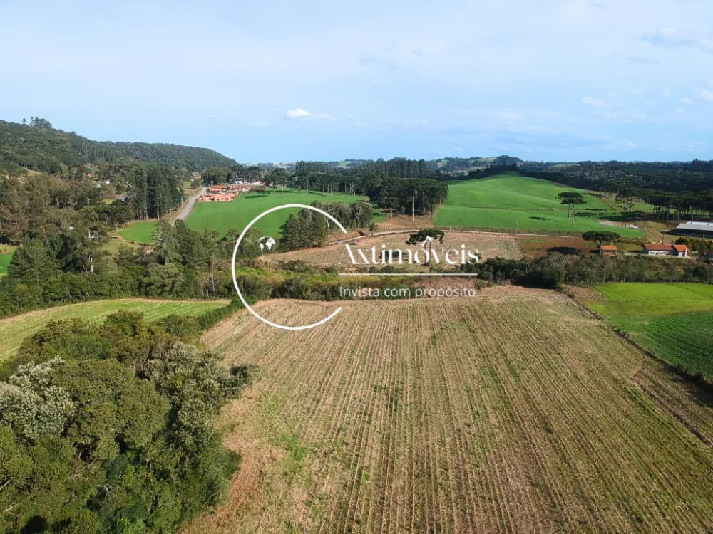 Terreno - área limpa