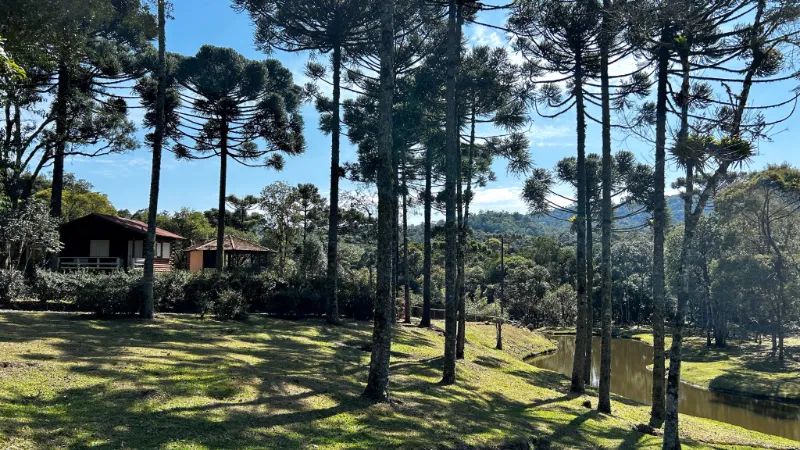 Fazenda Campo Alegre