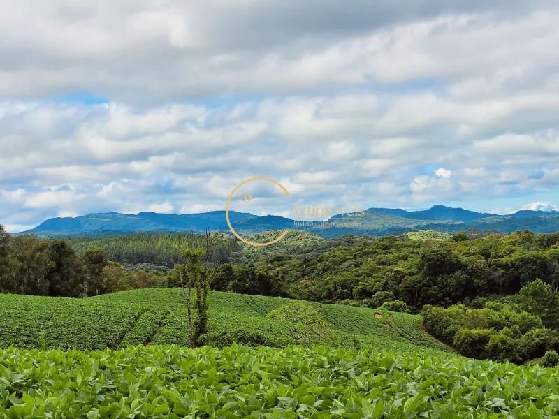Área Rural