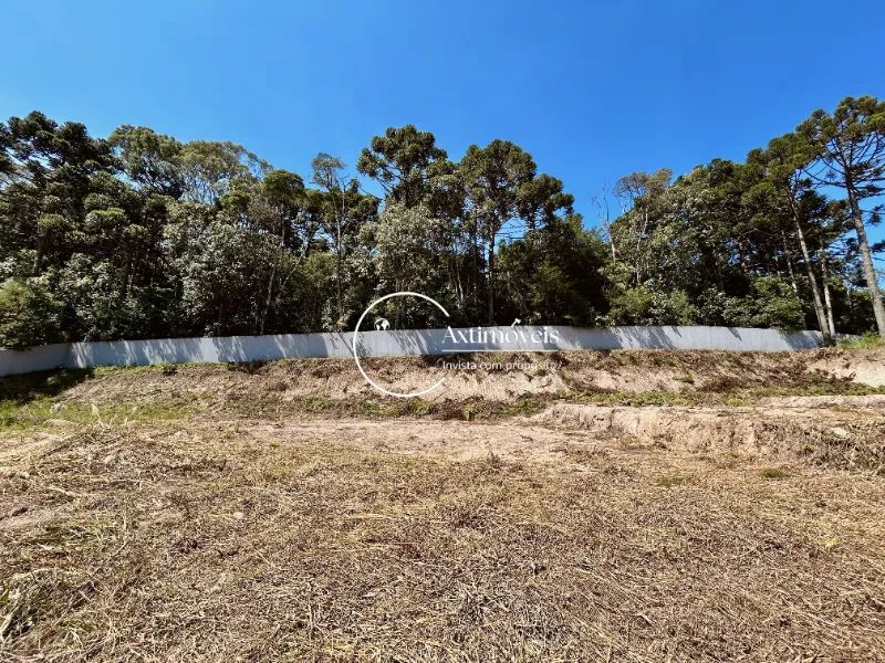 Bosque das Araucárias