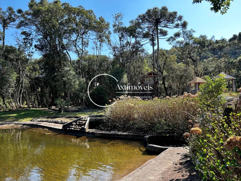 Fazenda Campo Alegre