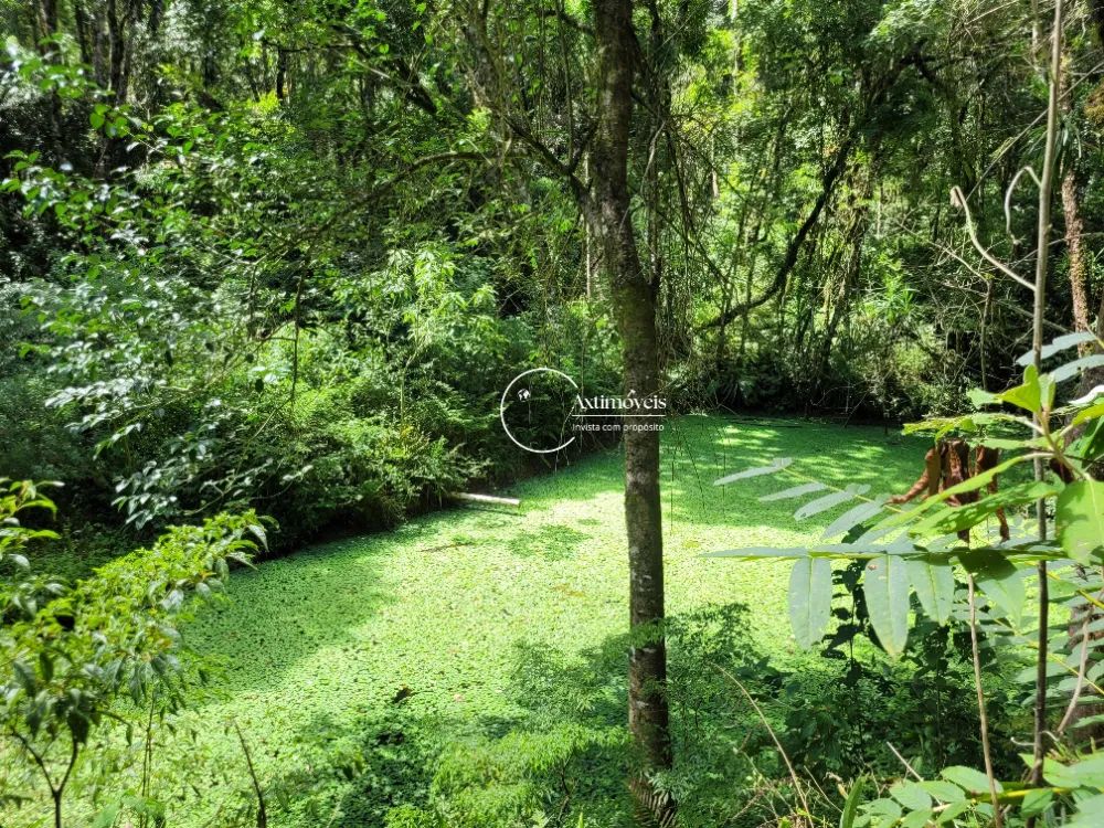 Terreno Bela Aliança